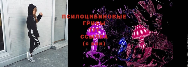 амф Алексин