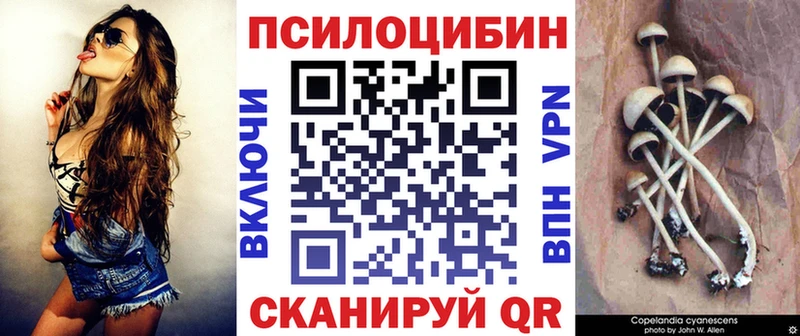 сколько стоит  маркетплейс телеграм  ссылка на мегу как войти  Галлюциногенные грибы мухоморы  Солнечногорск 